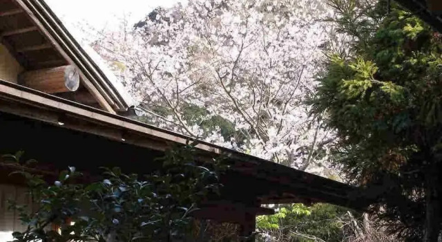 Run of House Ryokan Hanareya Ishidaya