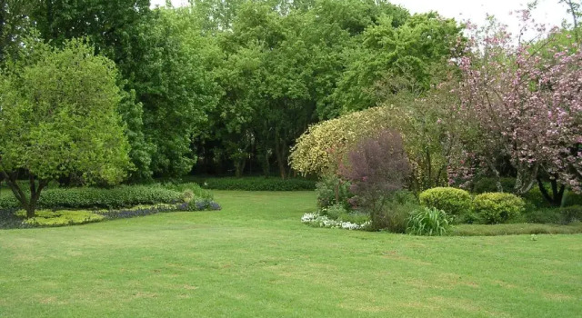 Номер Standard Cedar Garden