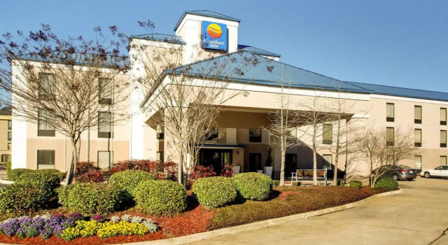 Люкс Comfort Inn Pearl-Jackson