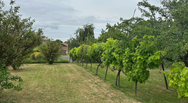 Lovely Holiday Home in Loire for 10, Rezerwuj Dom wakacyjny Mauges-sur-Loire Francja