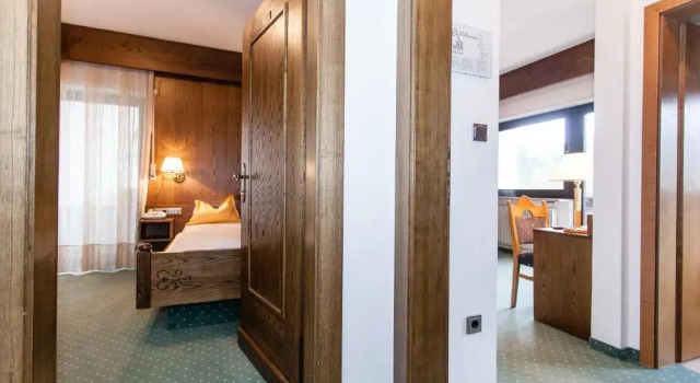 Одноместный номер Standard Hotel Am Wolfsgrubenersee