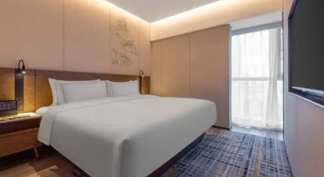 Двухместный люкс Executive UrCove by Hyatt Nanjing South Railway Station BaiJia Lake