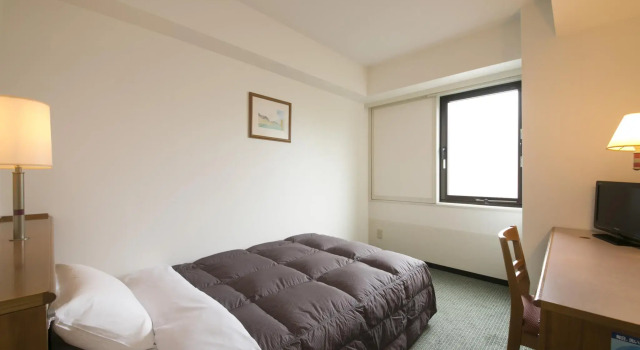 Одноместный номер Standard Nara Washington Hotel Plaza
