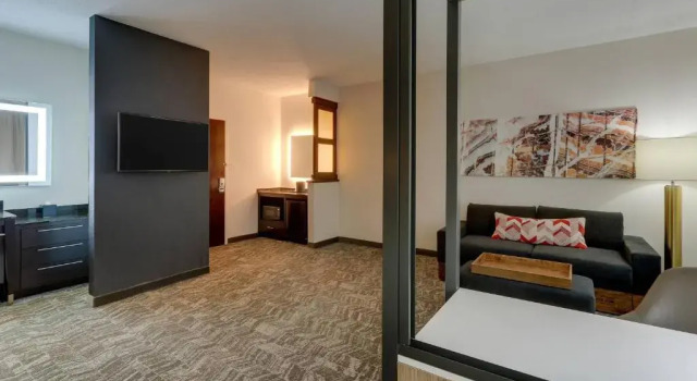 Студия Deluxe SpringHill Suites by Marriott Birmingham Downtown at UAB