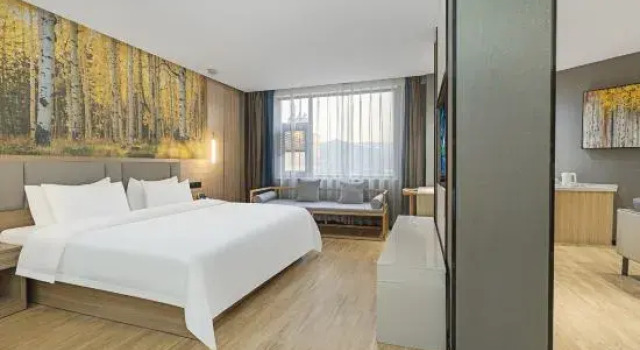 Люкс Xixia Guose Tianxiang Riverbank Hotel (Times Square - Music Fountain Branch)