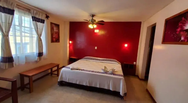 Номер Deluxe Hotel Florida Oaxaca