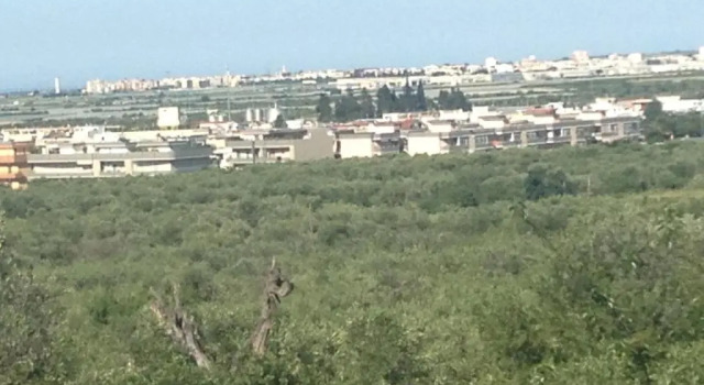 Люкс Le Sirene Bed and Breakfast