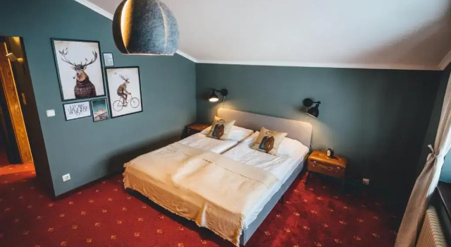 Номер Standard Hotel Sportalm