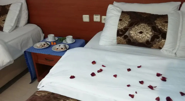 Двухместный номер Economy с балконом и с видом на сад Koray Hotel