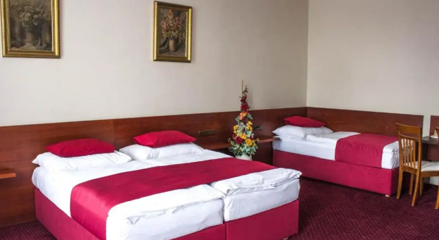 Трёхместный номер Standard Hotel Continental