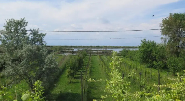 Апартаменты c 1 комнатой Tenuta Lio Maggiore