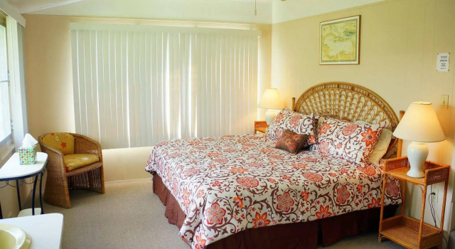 The Horny Toad Guesthouse