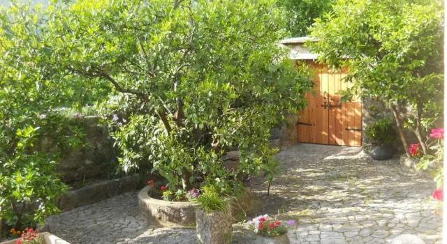 Апартаменты Apartments in Rustic House