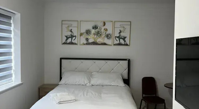 Двухместный номер Premium The Barrington Hotel