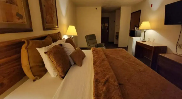 Standard Doppel Zimmer Single Tree Inn