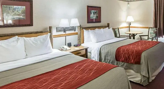 Номер Standard Quality Inn & Suites Big Stone Gap