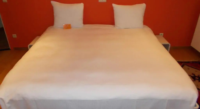 Hotel De Swaen