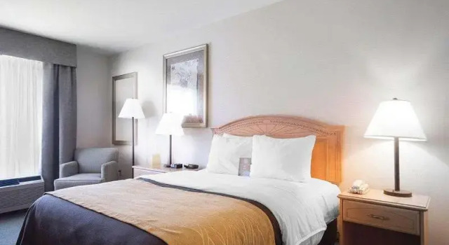 Номер Standard Comfort Inn & Suites