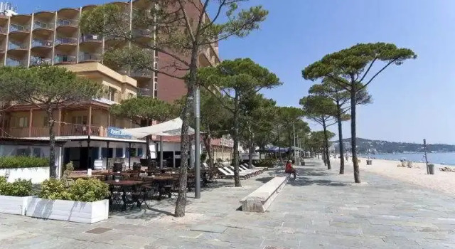 Apartamentos Delfin, Book Lejlighed Castell-Platja d'Aro Girona