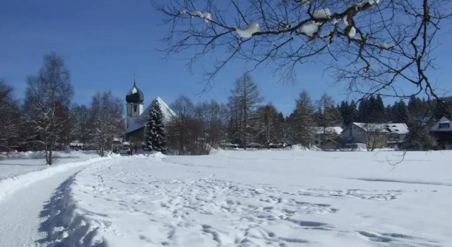 Апартаменты Haus Koenige Hinterzarten