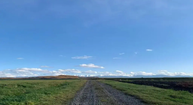 Cottage Maple Farm