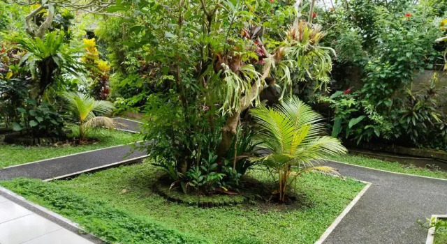 Номер Superior Bismajaya Bungalow