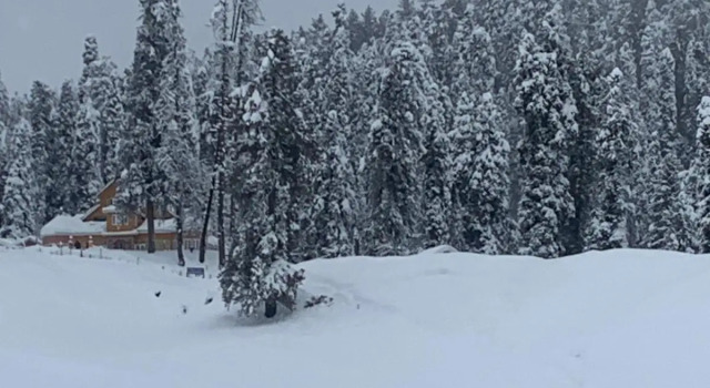 Gulmarg Ski Hill Resort, Забронировать Курортный отель Гульмарг Jammu & Kashmir Ski
