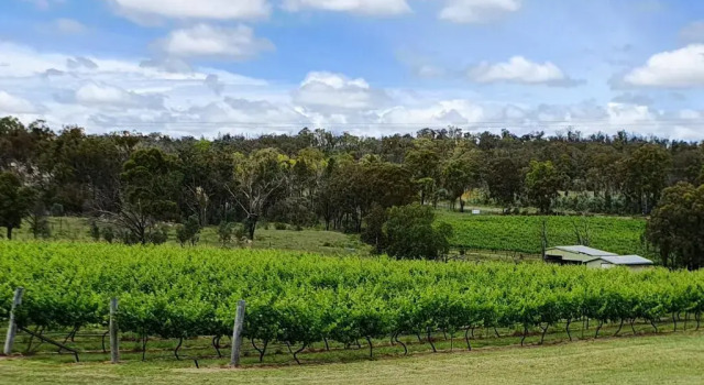 Шале Clever Kid Wines Vineyard Cottages