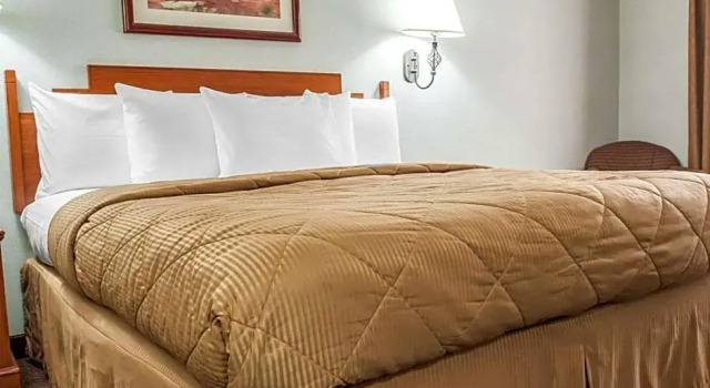 Номер Standard Econo Lodge Las Cruces University Area