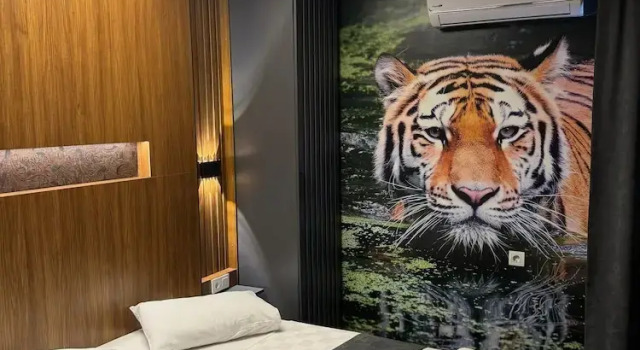 Номер Standard Lion Suite Hotel Kartal