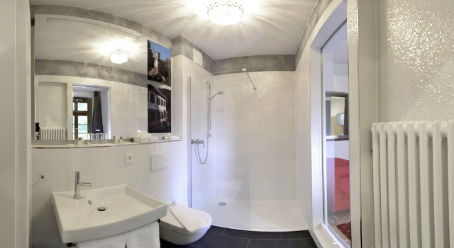 Двухместный номер Comfort Hotel Landgasthof König von Preussen