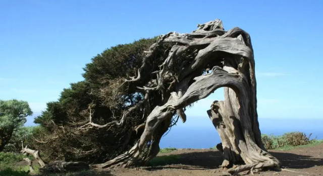 Двухместный номер Superior Parador de El Hierro