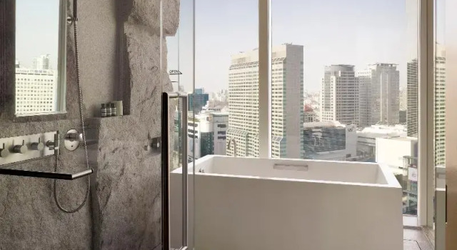 Двухместный номер Deluxe Park Hyatt Seoul