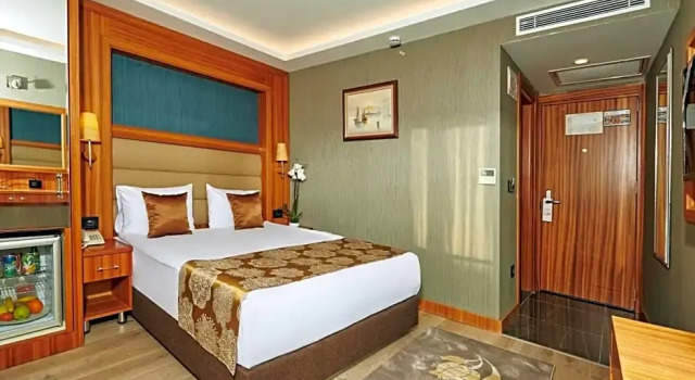 Одноместный номер Economy Ilkbal Deluxe Hotel &Spa Istanbul