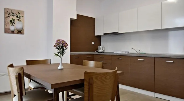 Апартаменты с балконом и с видом на парк Stela Deluxe Apartments
