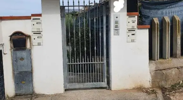 Casa dell'ape Maia
