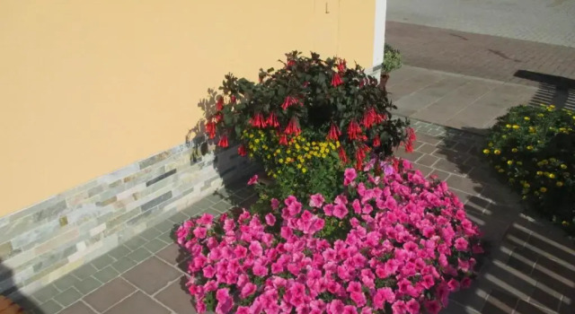 Номер Standard Gstehaus Unterberger