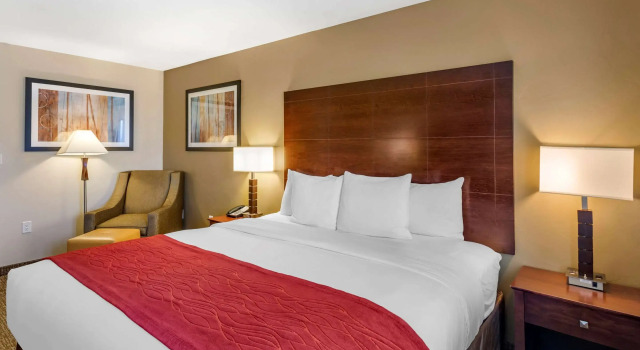 Двухместный номер Standard Comfort Inn & Suites Tooele-Salt Lake City