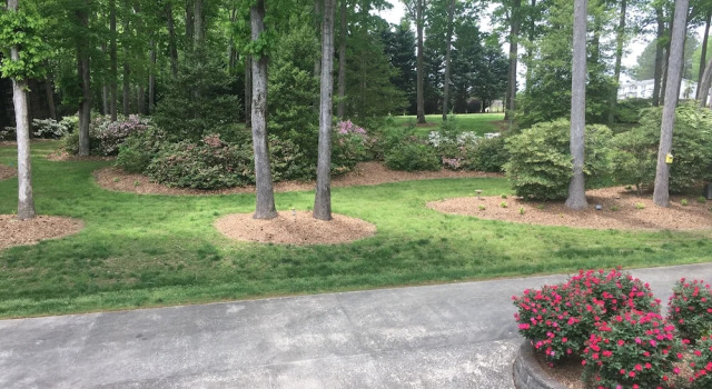 Двухместный номер Executive The Lakeside Resort