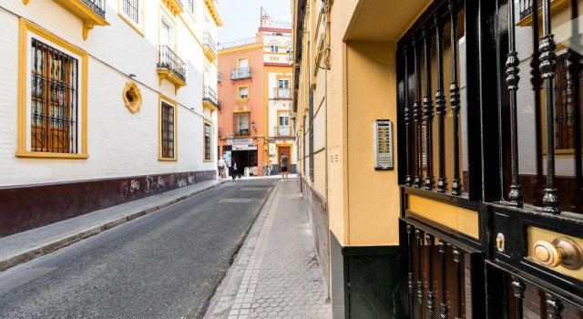 Nuevo Suite Campana