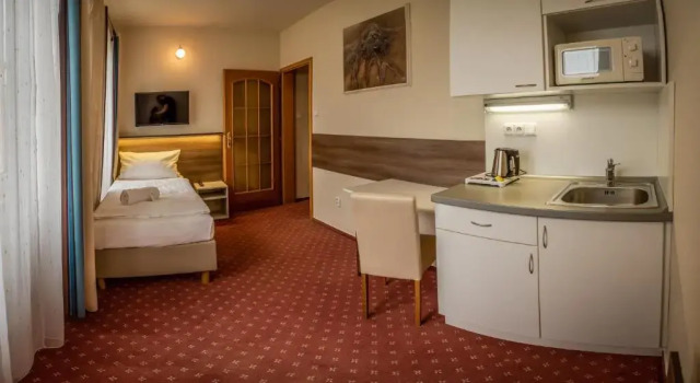 Одноместные апартаменты c 1 комнатой Hotel Brixen