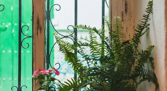 Коттедж Grand Encanto Guesthouse