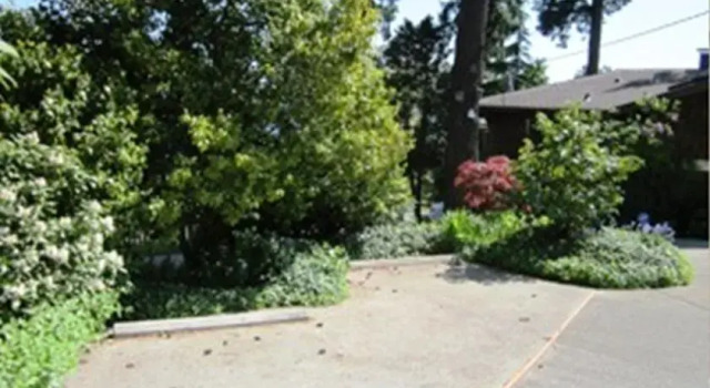 桑德芙住宿加早餐酒店(Soundview Cottage B&B), Book Feriehus Burien Washington