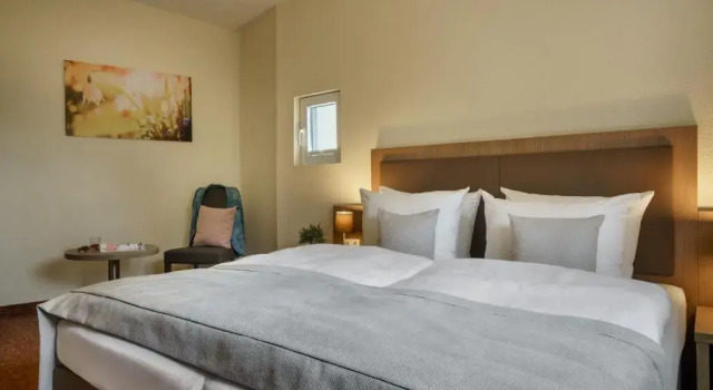 Двухместный номер Comfort Hotel Alster