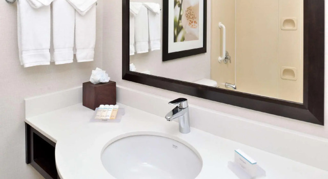 Четырёхместный номер Standard Hilton Garden Inn Addison