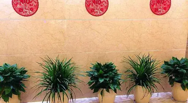 Changzhou Yuyuan Grand Hotel, Rezerwuj Hotel Changzhou Jiangsu