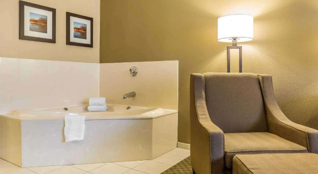 Люкс Comfort Inn & Suites East Moline near I-80