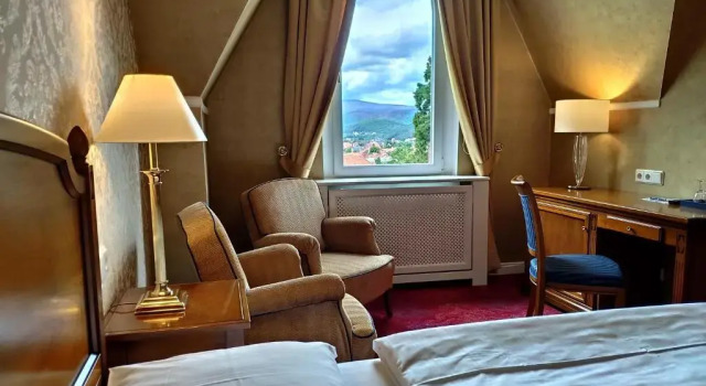 Двухместный номер Superior Hotel Erbprinzenpalais