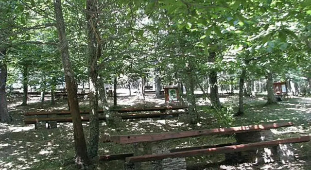 Номер Standard Sanctuary Armony
