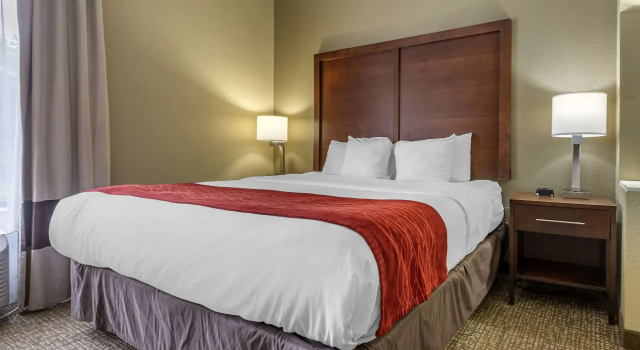 Двухместный люкс Comfort Inn & Suites Mocksville I-40
